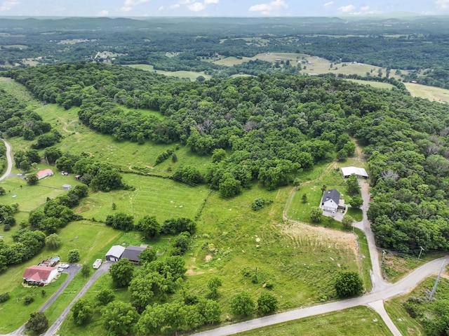 179 Ward Hollow Rd, Brush Creek, TN 38547 - photo 53