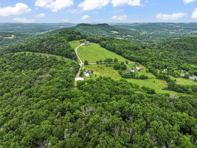 179 Ward Hollow Rd, Brush Creek, TN 38547 - photo 54