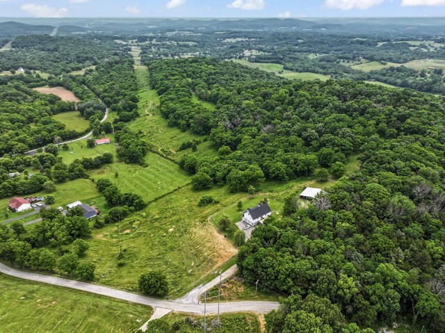 179 Ward Hollow Rd, Brush Creek, TN 38547 - photo 52