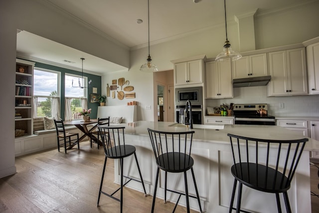 6510 Rusty Blackbird Ct, Murfreesboro, TN 37128 - kitchen featuring appliances with stainless steel finishes, a sink, crown molding, under cabinet range hood, and light wood-style flooring