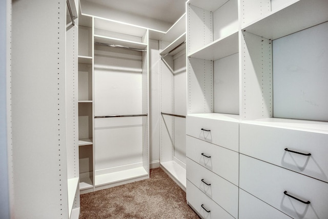 6510 Rusty Blackbird Ct, Murfreesboro, TN 37128 - spacious closet featuring carpet flooring