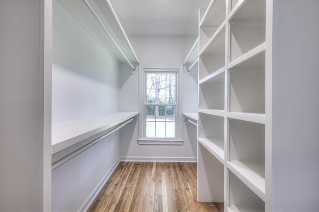 109 Polk Place Dr, Franklin, TN 37064 - photo 18
