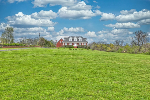 5784 Rock Springs Rd, Smyrna, TN 37167 - view of green lawn