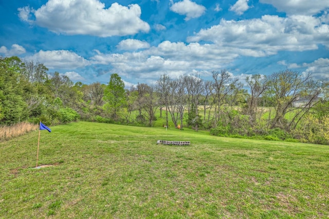 5784 Rock Springs Rd, Smyrna, TN 37167 - view of grassy yard