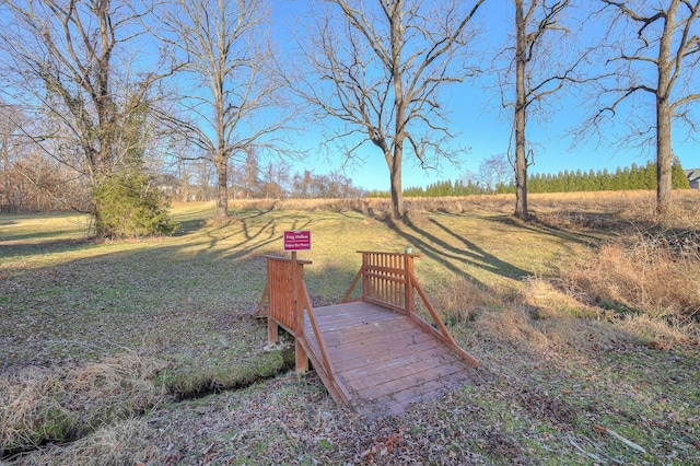 5784 Rock Springs Rd, Smyrna, TN 37167 - view of yard