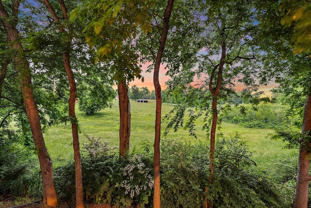 1013 Nealcrest Cir, Spring Hill, TN 37174 - yard at dusk with a lawn
