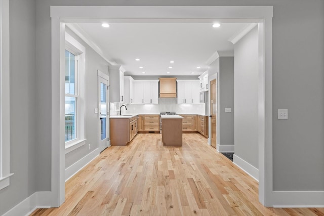 264 Goose Creek Cir, Soddy Daisy, TN 37379 - kitchen featuring custom range hood, a sink, light wood-style floors, light countertops, and baseboards