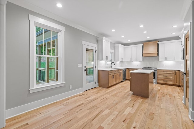 264 Goose Creek Cir, Soddy Daisy, TN 37379 - kitchen with custom range hood, a sink, stainless steel appliances, light wood-style flooring, and a center island