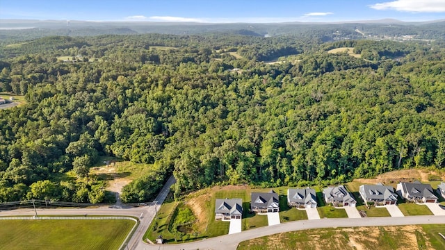 264 Goose Creek Cir, Soddy Daisy, TN 37379 - photo 71