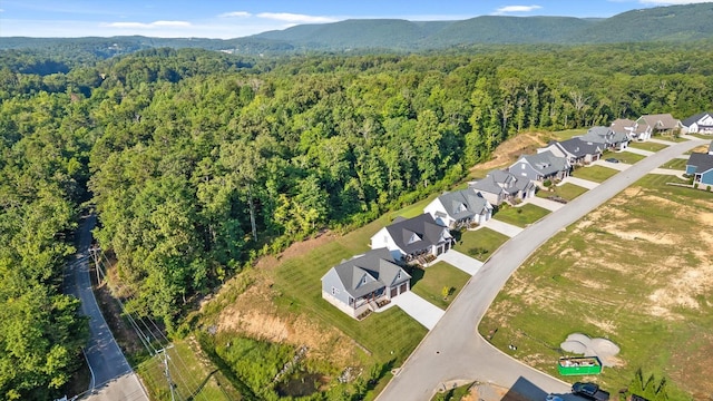 264 Goose Creek Cir, Soddy Daisy, TN 37379 - photo 80