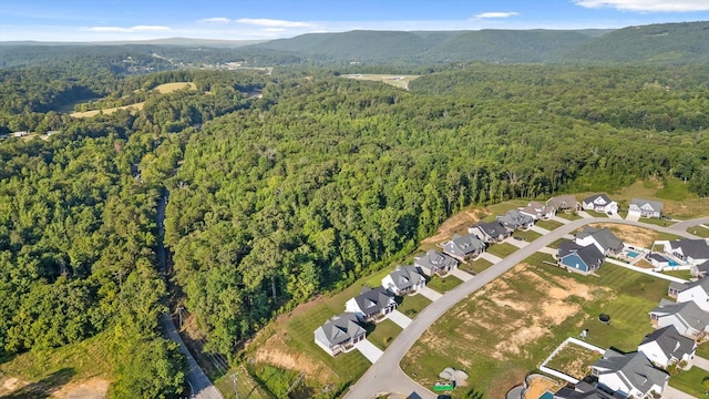 264 Goose Creek Cir, Soddy Daisy, TN 37379 - photo 72