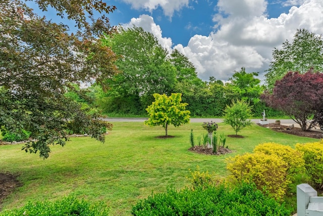 5 Heather Rd, Fayetteville, TN 37334 - photo 35