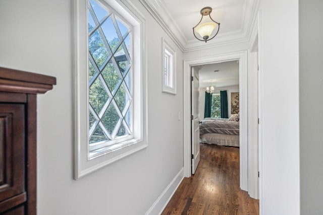 5432 Parker Branch Rd, Franklin, TN 37064 - corridor featuring crown molding, dark wood-style flooring, and baseboards