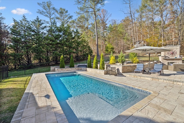 5432 Parker Branch Rd, Franklin, TN 37064 - view of swimming pool with a patio and a fenced backyard