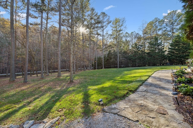 5432 Parker Branch Rd, Franklin, TN 37064 - view of green lawn featuring a wooded view
