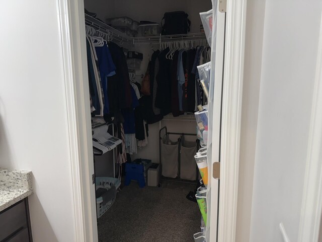 walk in closet with carpet flooring
