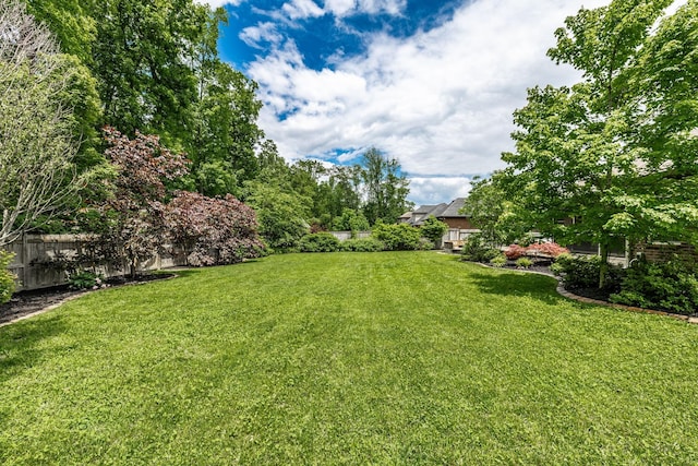 1461 Round Rock Dr, Murfreesboro, TN 37128 - view of yard