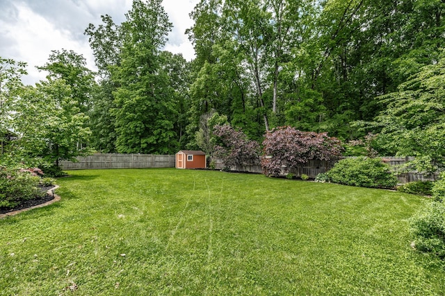 1461 Round Rock Dr, Murfreesboro, TN 37128 - view of yard featuring a shed and an outdoor structure