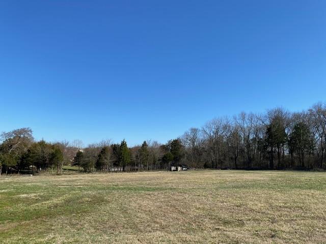 203 Brookside Cv, Lebanon, TN 37087 - photo 25