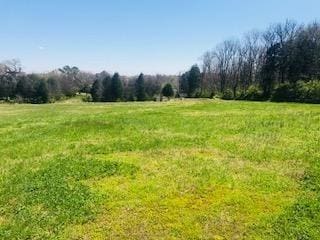 203 Brookside Cv, Lebanon, TN 37087 - photo 9