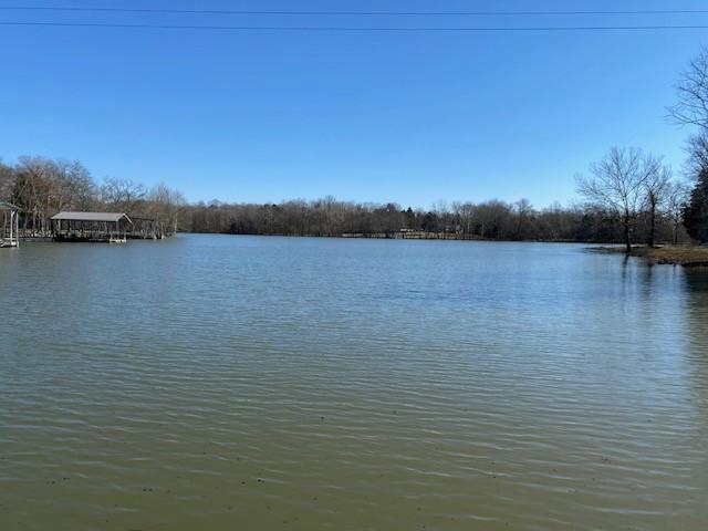203 Brookside Cv, Lebanon, TN 37087 - photo 48