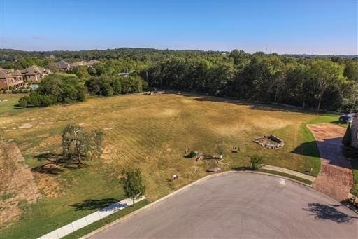 203 Brookside Cv, Lebanon, TN 37087 - photo 5