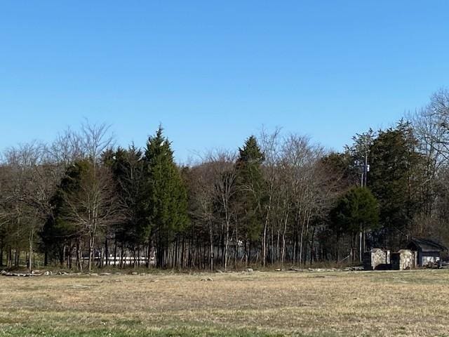 203 Brookside Cv, Lebanon, TN 37087 - photo 3