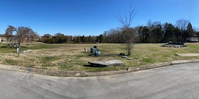 203 Brookside Cv, Lebanon, TN 37087 - photo 33