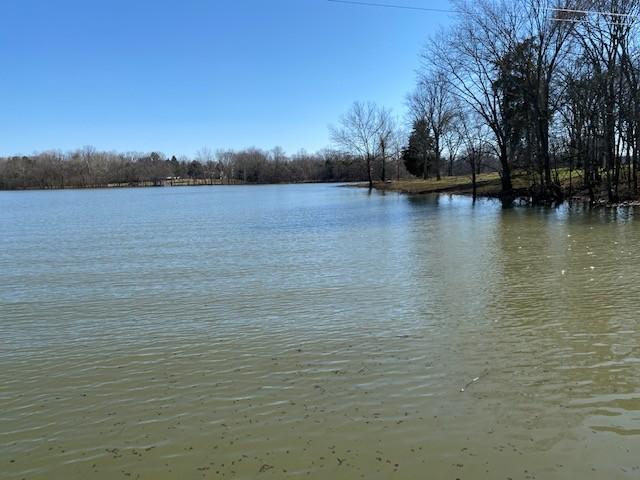203 Brookside Cv, Lebanon, TN 37087 - photo 43