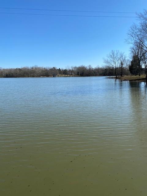 203 Brookside Cv, Lebanon, TN 37087 - photo 47