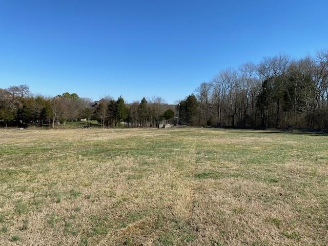 203 Brookside Cv, Lebanon, TN 37087 - photo 13