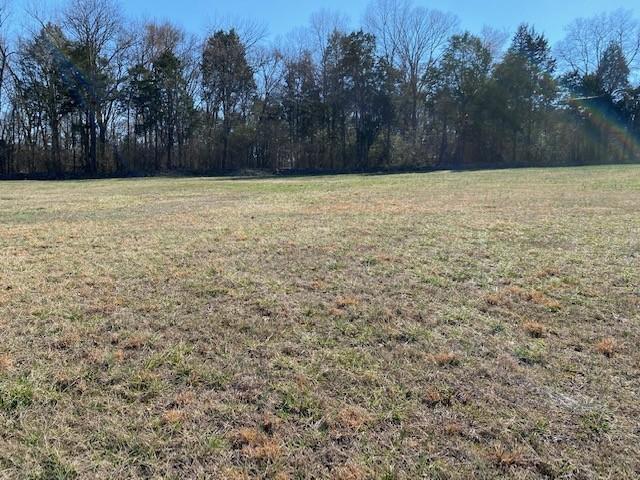 203 Brookside Cv, Lebanon, TN 37087 - photo 24