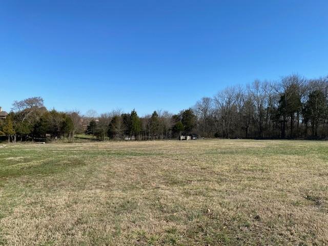 203 Brookside Cv, Lebanon, TN 37087 - photo 53
