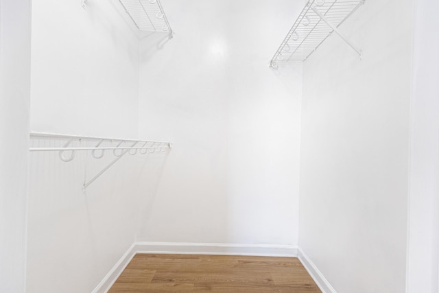 7004 Westfork Dr, Smyrna, TN 37167 - spacious closet featuring light wood-style floors