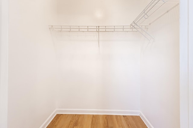 7004 Westfork Dr, Smyrna, TN 37167 - spacious closet featuring light wood finished floors