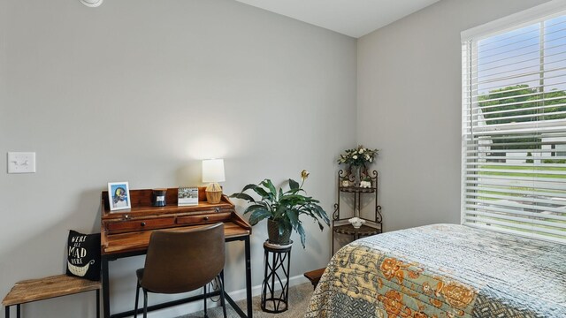 326 Ruby Cate Way, Murfreesboro, TN 37128 - photo 36