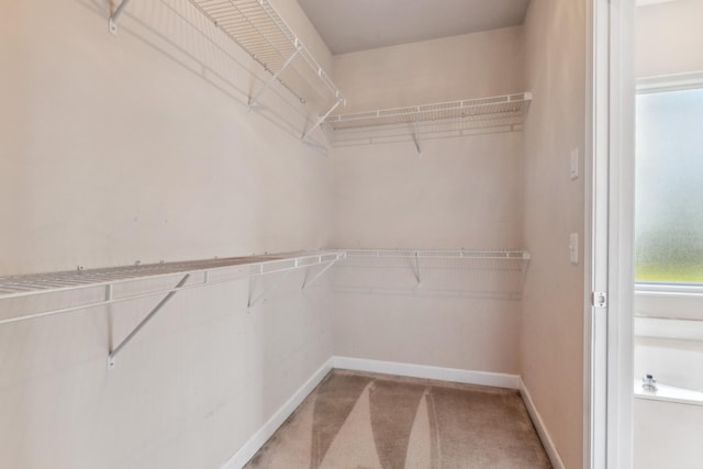 3045 Cairns Dr W, Mount Juliet, TN 37122 - spacious closet with carpet floors
