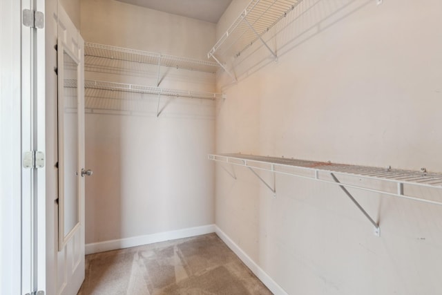 3045 Cairns Dr W, Mount Juliet, TN 37122 - spacious closet with carpet