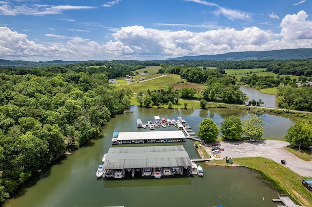 185 Waters Edge Dr, Spring City, TN 37381 - photo 32