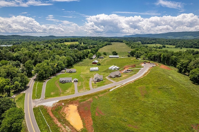 185 Waters Edge Dr, Spring City, TN 37381 - photo 28