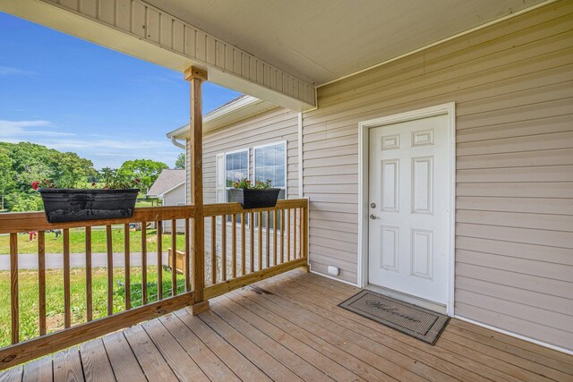 185 Waters Edge Dr, Spring City, TN 37381 - photo 36