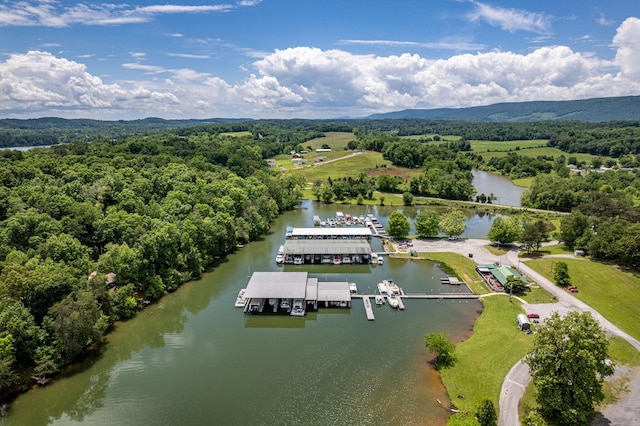 185 Waters Edge Dr, Spring City, TN 37381 - photo 30