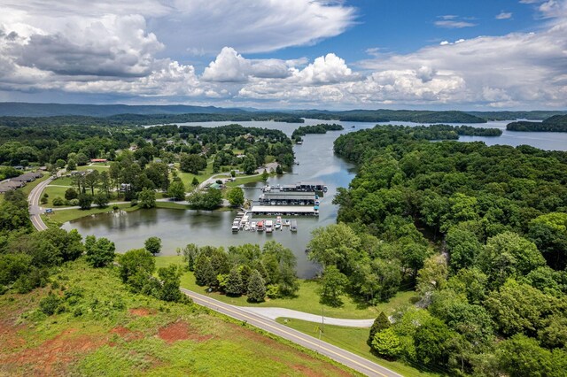 185 Waters Edge Dr, Spring City, TN 37381 - photo 34
