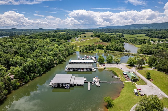 185 Waters Edge Dr, Spring City, TN 37381 - photo 31