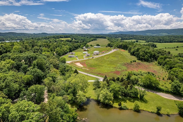 185 Waters Edge Dr, Spring City, TN 37381 - photo 29