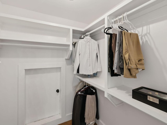 view of spacious closet