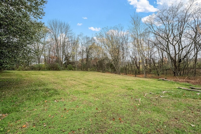124 Tom Link Rd, Cottontown, TN 37048 - view of grassy yard