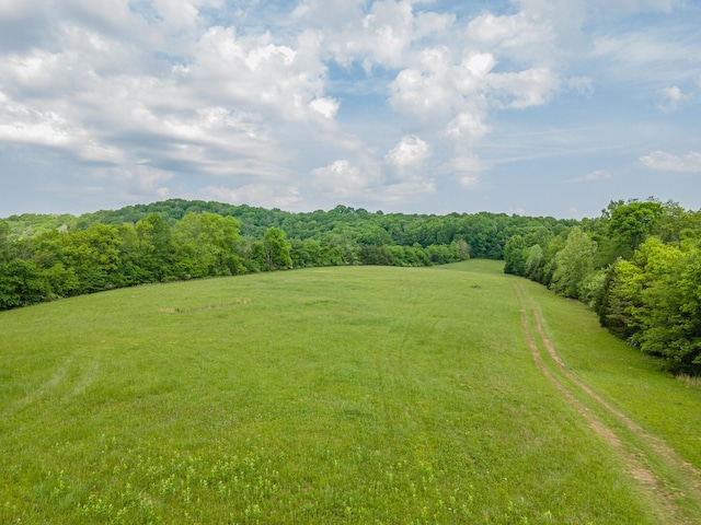 0 Iron Bridge Rd, Columbia, TN 38401