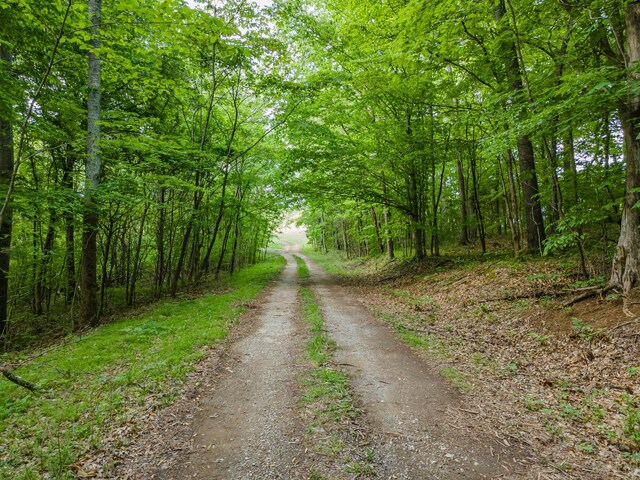 0 Iron Bridge Rd, Columbia, TN 38401