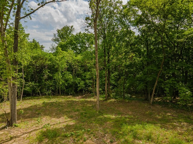 0 Iron Bridge Rd, Columbia, TN 38401